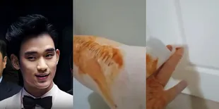 Garo Sero Research Institute Bantah Klaim Agensi Kim Soo Hyun Soal Foto Penganiayaan Palsu, Informan Ikut Buka Suara