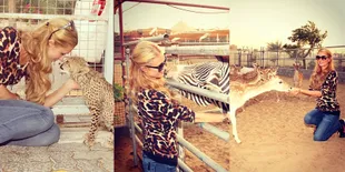 Gaya Paris Hilton Sebagai Seorang Penyayang Binatang