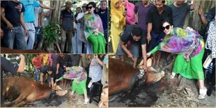 Ini Lho Foto Selfie Syahrini Sama Sapi Yang Katanya 'Syantiiiik'
