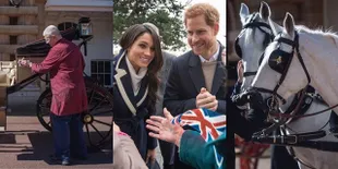 Ini Penampilan Kereta Kuda Untuk Wedding Pangeran Harry & Meghan