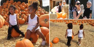 Inilah Potret Lucu North West Saat Asyik Belanja Labu Halloween