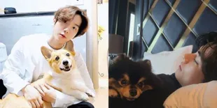 Jika Anjing Peliharaan EXO dan BTS Jadi Member Boyband, Siapakah Visualnya?