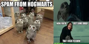 Jokes Receh Harry Potter Ini Mungkin Bikin Kamu Senyum Sendiri 