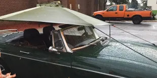 Kalau Menurut Kamu, Foto-Foto Ini Cerdas Atau Absurd?