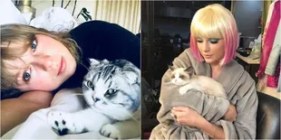 Kemesraan Taylor Swift dengan Kucing-Kucingnya, Sayang Banget!