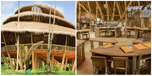 Kerennya Green School di Bali, Sekolah Yang Nggak Bikin Bosen!