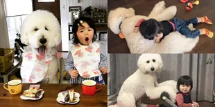 Kisah Seekor Anjing Yang Begitu Setia Pada Majikan Kecilnya