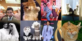 Kocak Abis! Ranveer Singh vs Anak Kucing, Mana Yang Lebih Unyu?
