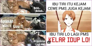 Kumpulan Foto Meme Cewek Ketika PMS, Tepat Sasaran!