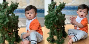 Natal Pertama, Raphael Moeis Pose Gemesin di Christmas Tree Imut
