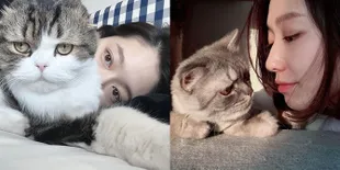 Potret Bumil Cantik Park Shin Hye Santai di Rumah di Masa Kehamilan, Asyik Rebahan Ditemani Kucing Peliharaan