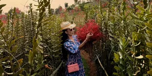 Potret Krisdayanti Berkebun, Kece Badai Kenakan Gaun dan Topi Sambil Asyik Petik Mawar