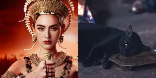 Potret Kucing dalam Drama 'The Empress of Ayodhaya' Dibius untuk Adegan Mati, Publik Pertanyakan Keamanannya