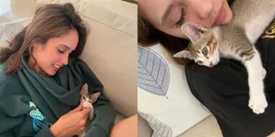 Potret Menggemaskan Cinta Laura dengan Bayi Kucing yang Ditemukan Saat Syuting Series 'DENDAM'