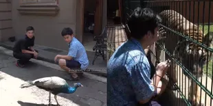 Punya Kebun Binatang Pribadi, Ini 9 Hewan Liar Milik Alshad Ahmad  Yang Satu Ekornya Seharga Sampai Ratusan Juta