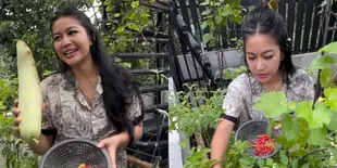 Punya Kebun di Rooftop, Ini 8 Potret Eriska Nakesya Istri Young Lex Panen