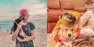 Ramai Dicibir - Ditanya Soal Agama, Potret Dara The Virgin dan Dua Anjing Kesayangannya - Dianggap Seperti Anak Sendiri