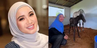 Rumahnya Jadi 'Kebun Binatang', Intip 8 Potret Kandang Kuda Milik Chacha Frederica yang Seluas Kamar Kos -Ada Kipas Anginnya