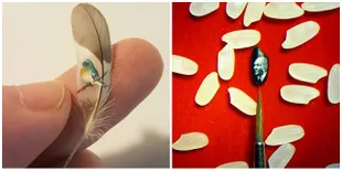 Seniman Ini Jadikan Benda Kecil Sebagai Kanvas Lukisannya, Keren!