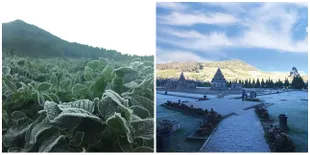 Suhu Turun Hingga Minus 5 Derajat, Dataran Dieng Jadi Mirip Eropa