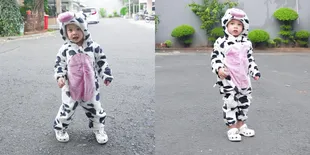 Terlalu Gemas, Potret Gala Sky Pakai Kostum Sapi - Makin Tumbuh Besar Tambah Ganteng dan Lucu Banget 