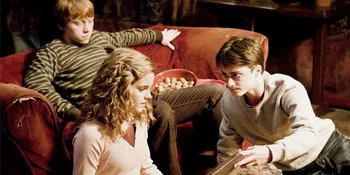 'HARRY POTTER' Bakal Dijadikan Film Porno!