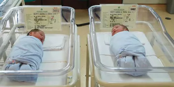 Rieke Pitaloka Beri Nama Lambang Partai Untuk Anaknya?