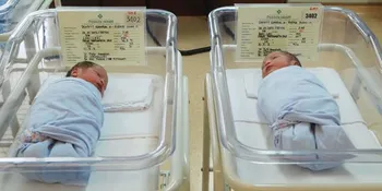 Hamil 8 Bulan, Rieke Dyah Pitaloka Demo di Istana