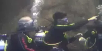 The Wanted Berenang Dengan Hiu