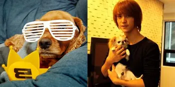 10 Hewan Peliharaan Imut Milik K-Pop Idol!