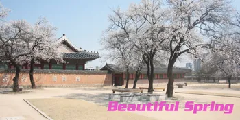 10 Lagu K-Pop Kala Musim Semi Dengan Bunga Bermekaran