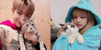 6 K-Pop Idol Ini Punya Peliharaan Kucing, Kang Daniel - Lisa BLACKPINK
