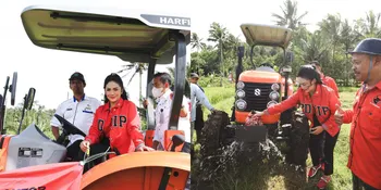 7 Potret Krisdayanti Blusukan Jalankan Tugas Jadi Anggota DPR, Panas-panasan Temui Petani - Naik Traktor ke Sawah
