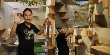 8 Potret Ruangan Mewah Khusus Kucing di Rumah Denny Cagur, Punya 5 Area Bermain - Toilet Sendiri