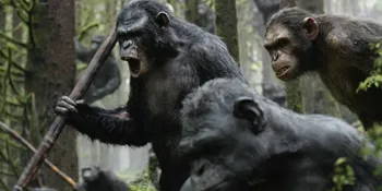 Andy Serkis: 'THE PLANET OF THE APES' Bisa Jadi Ada 5 Judul Lagi
