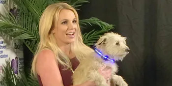 Baru Saja Tayang, Audio Britney-Iggy Didengar 3 Juta Orang