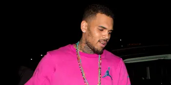 Chris Brown Support Hubungan Rihanna Dengan Leonardo DiCaprio