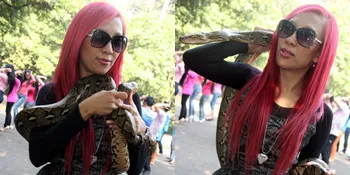 Dituding 'Tilep' Ratusan Juta, Dewi Sanca Tak Pulang ke Rumah