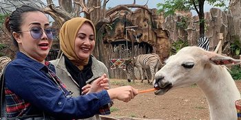 Elma Theana Bongkar Kronologi Rency Milano Ketahuan Jadi Korban Mal Praktik, Sempat Demam Tinggi