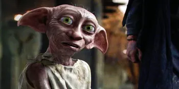 Fans Harry Potter Ini Berusaha Untuk Bebaskan Dobby di Inggris!
