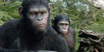 Film Terbaru 'PLANET OF THE APES' Rekrut Aktor Muda Ganteng