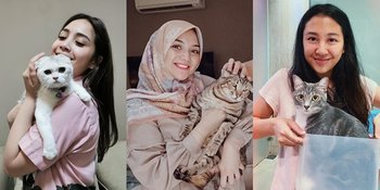 Gemesnya Kebangetan, Ini 8 Potret Manis Kebersamaan Seleb Bareng Kucing Peliharaan Terbaru Ada Nagita Slavina