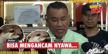 Hotman Paris Sakit Akibat Digigit Berang-Berang, Apa Saja Risikonya?