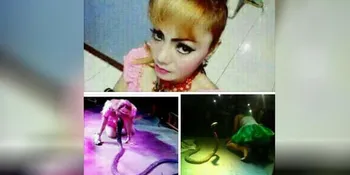 Irma Bule Ternyata Tak Izin Saat Pinjam Ular Kobra Buat Show