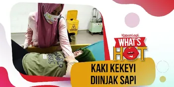 Jempol Kaki Kekeyi Diinjak Sapi, Langsung Dirawat di Rumah Sakit