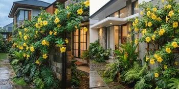 Jenis Bunga Alamanda yang Bisa Ditanam di Rumah, Bikin Pekarangan Jadi Hidup
