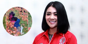 Kebun Bunga Amaryllis Rusak, Indah Dewi Pertiwi Ikutan Sedih