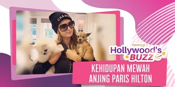 Kehidupan Anjing Paris Hilton, Hidup Mewah & Punya Istana