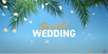 Kembali Persatukan Dylan Sprouse dan Virginia Gardner, Sekuel Film 'BEAUTIFUL DISASTER' Berjudul 'BEAUTIFUL WEDDING' Akhirnya Rilis!