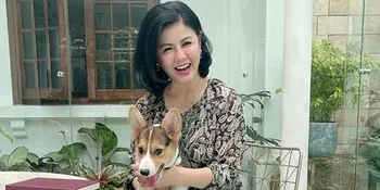 Kisruh Rumah Tangga Hotma Sitompul Masih Berlanjut, Hotman Paris: Desiree 2000 Persen Tak Mau Rujuk